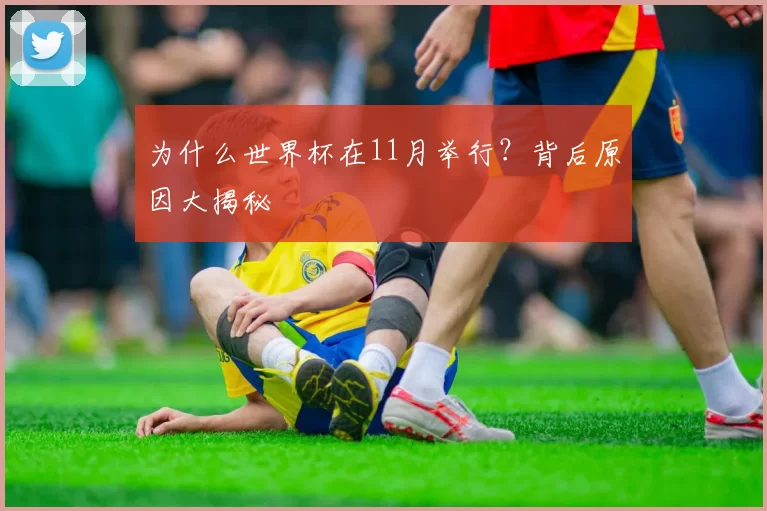 为什么世界杯在11月举行?背后原因大揭秘