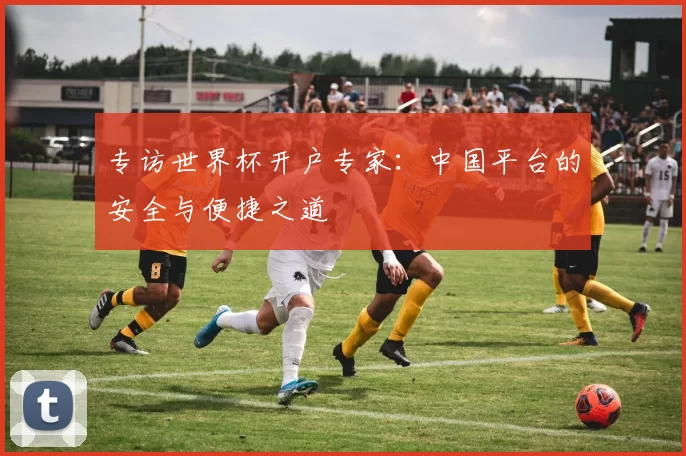 专访世界杯开户专家：中国平台的安全与便捷之道