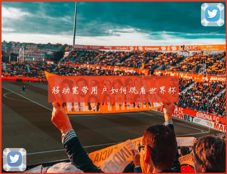 移动宽带用户如何观看世界杯