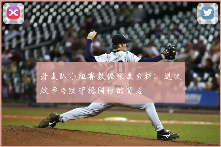 丹麦队小组赛数据深度分析：进攻效率与防守稳固性的背后