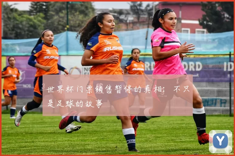 世界杯门票销售暂停的真相：不只是足球的故事
