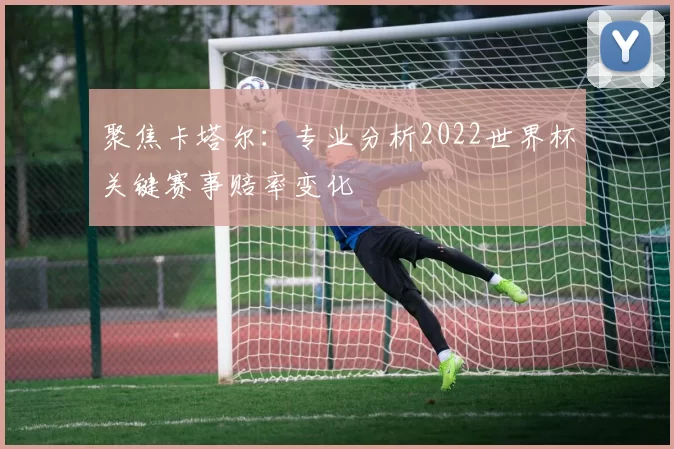 聚焦卡塔尔:专业分析2022世界杯关键赛事赔率变化