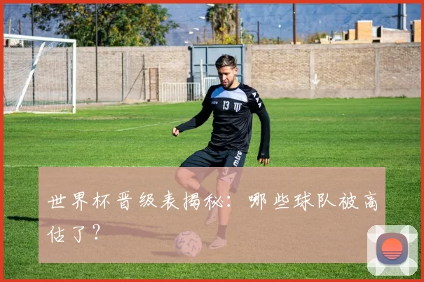 世界杯晋级表揭秘：哪些球队被高估了？