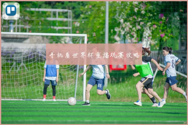 手机看世界杯重播观赛攻略