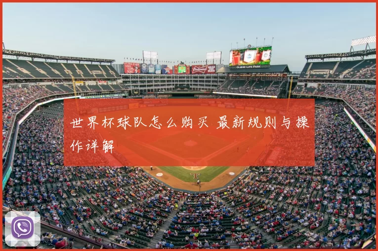 世界杯球队怎么购买 最新规则与操作详解