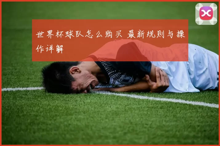 世界杯球队怎么购买 最新规则与操作详解